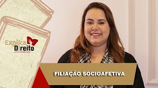 Explica Direito Filiação Socioafetiva  2019 [upl. by Irwin]