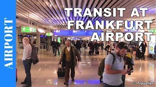 TRANSIT WALK AT FRANKFURT Airport FRA Terminal 1  Connection Flight Transfer Arriving amp Departing [upl. by Ebbie393]